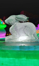 慶陽靠譜冰雪游樂園定制廠家裝修