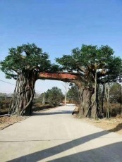 徐州水泥假树设计施工一体服务