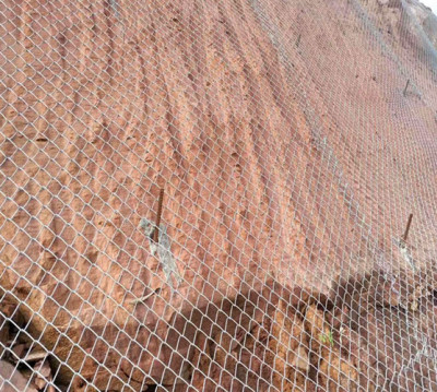 重庆客土喷播种草铁丝网 边坡种植防护网
