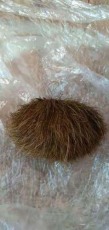 金昌拍賣拍賣拍賣服務商