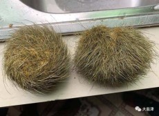 三沙上門收購拍賣收購公司