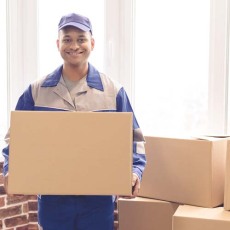 广东发奥地利美森加班海运双清包税护肤品运输