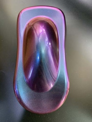 山东变色龙粉多少钱一公斤