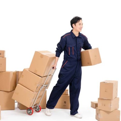 珠海到荷兰美森加班海运双清包税空运大陆直飞