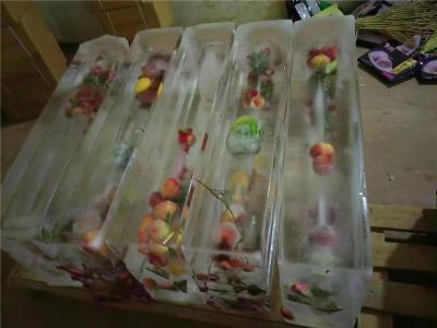 张掖透明冰制冰厂维护