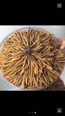 常州上门回收燕窝当天结算