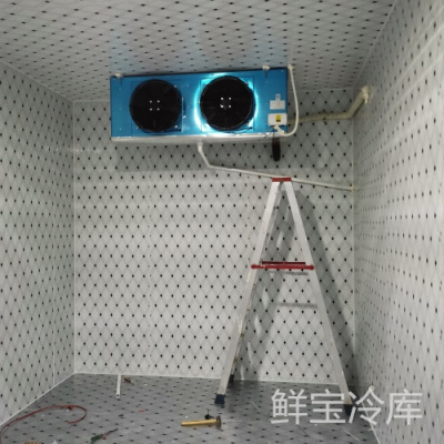 珠海小型冷库厂家电话