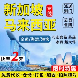 新加坡空运海运国际快递集运物流专线超大件