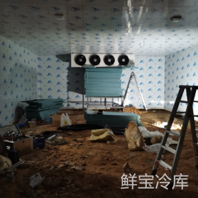 广州冷藏冷冻库报价