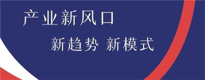 虚拟卡口行业发展现状及投资潜力分析报告