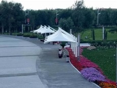 河北PVDF景观伞厂家