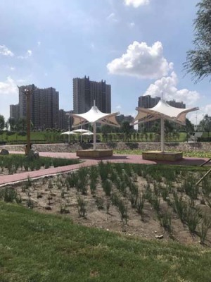 宁夏ETFE景观膜结构厂家