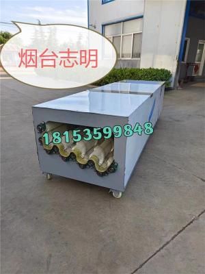 新疆兵團(tuán)使用的甜瓜清洗加工設(shè)備廠家優(yōu)惠