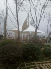 安徽专业张拉膜雨棚设计安装厂家
