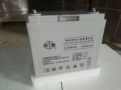 大理双登蓄电池12V100AH规格