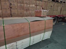 东莞—三门峡专业物流整车托运费用多少