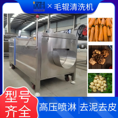 山药毛辊清洗机 多功能中药材去泥清洗机器