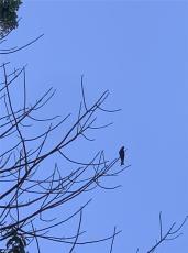 完整的追女友办法