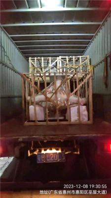 东莞桥头直达扬州江都大票货物包车