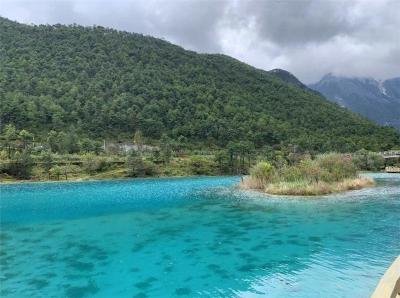 成功率高的破冰方案