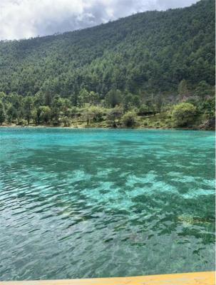 怎么正确的追妹子