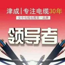 麟游附近津成电缆电线公司