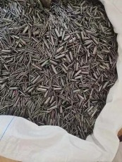 揚州多錢回收鎢鋼哪家好啊