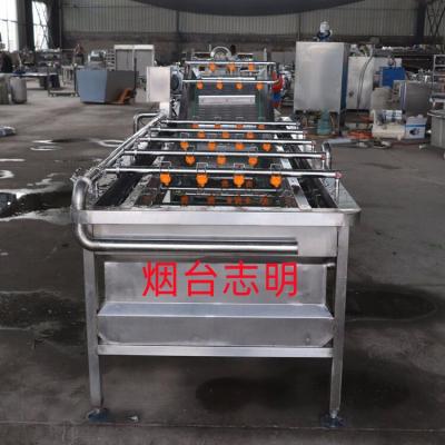 白蘿卜自動調速毛刷清洗機