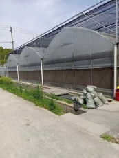 张家口蔬菜大棚钢管可实地测量搭建