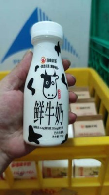 横沥网上订羊奶什么牌子好