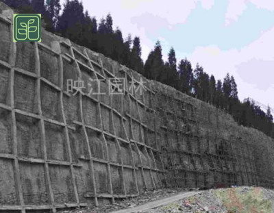 阳新县高速公路护坡专业师傅施工