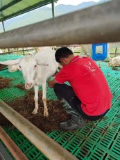南山街道附近订鲜牛奶什么牌子好