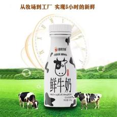 坪山鲜牛奶怎么订就选瑞康鲜奶24小时可送