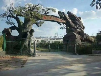 铁岭水泥假树厂家
