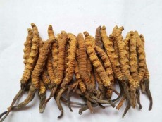 广州茅台酒上门回收