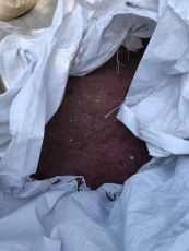 杭州本地回收钨铜哪家好啊