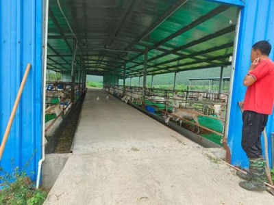 东坑附近订鲜牛奶送货上门
