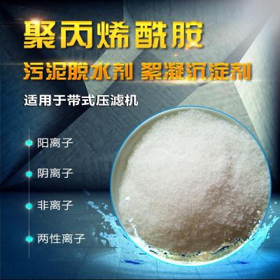 山东菏泽阳离子酰胺PAM使用说明