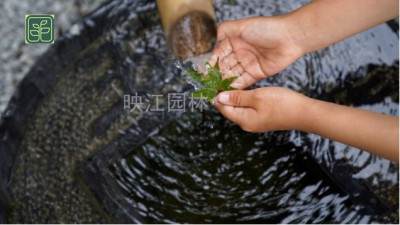 雨城区公园绿化施工方案