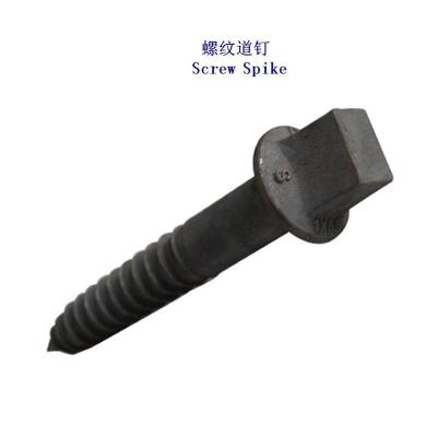 阿尔巴尼亚Ss6螺旋道钉生产厂家