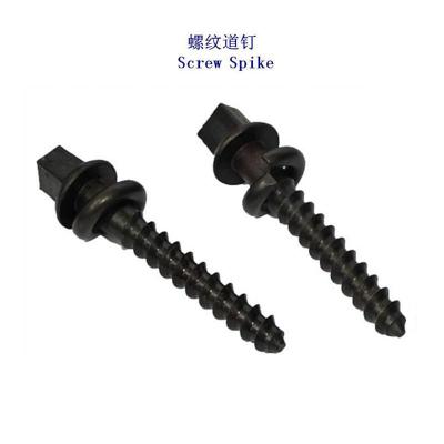 老挝Ss7铁路螺钉工厂