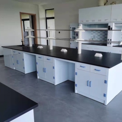 昭平实验边台/中央操作台/通风柜/试剂柜/药品柜/仪器柜_供应商-鸿嘉