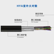 龍巖信號電纜PTYA22-4X1.0