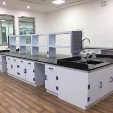 合浦实验边台/中央操作台/通风柜/试剂柜/药品柜/仪器柜_生产厂家-鸿嘉