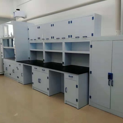 广西实验边台/中央操作台/通风柜/试剂柜/药品柜/仪器柜_生产厂家-鸿嘉
