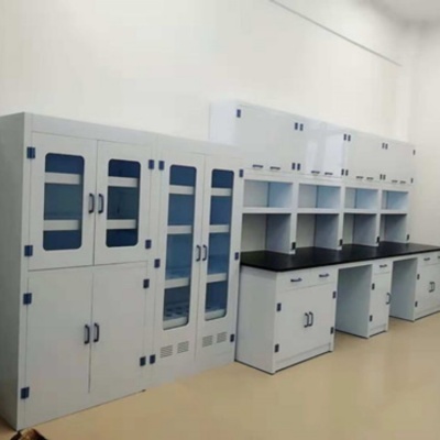 恭城实验边台/中央操作台/通风柜/试剂柜/药品柜/仪器柜_生产厂家-鸿嘉