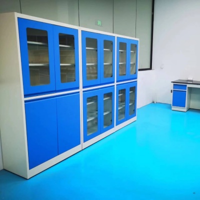 龙胜实验边台/中央操作台/通风柜/试剂柜/药品柜/仪器柜_生产厂家-鸿嘉