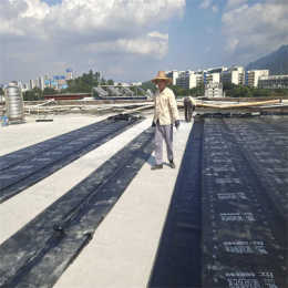 潮南区本地屋面防水补漏哪家好