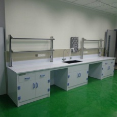 防城港实验边台/中央操作台/通风柜/试剂柜/药品柜/仪器柜_供应商-鸿嘉