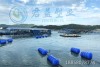 吐鲁番水电站拦污浮筒可按需定制